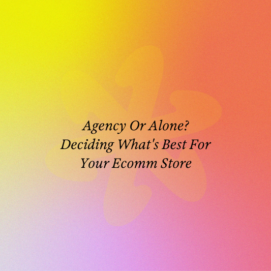 Agency Or Alone? Deciding What's Best For Your Ecomm Store
