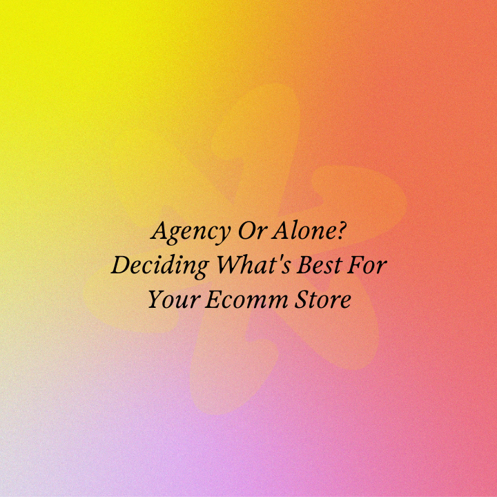Agency Or Alone? Deciding What's Best For Your Ecomm Store