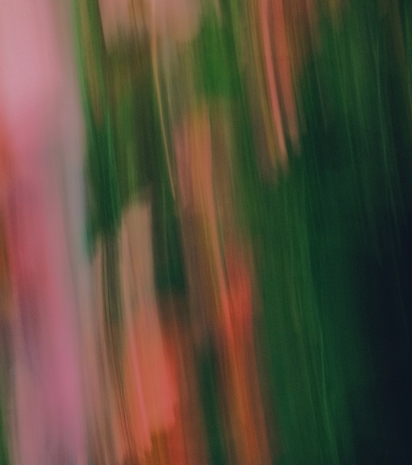 Coldsmoke Creative